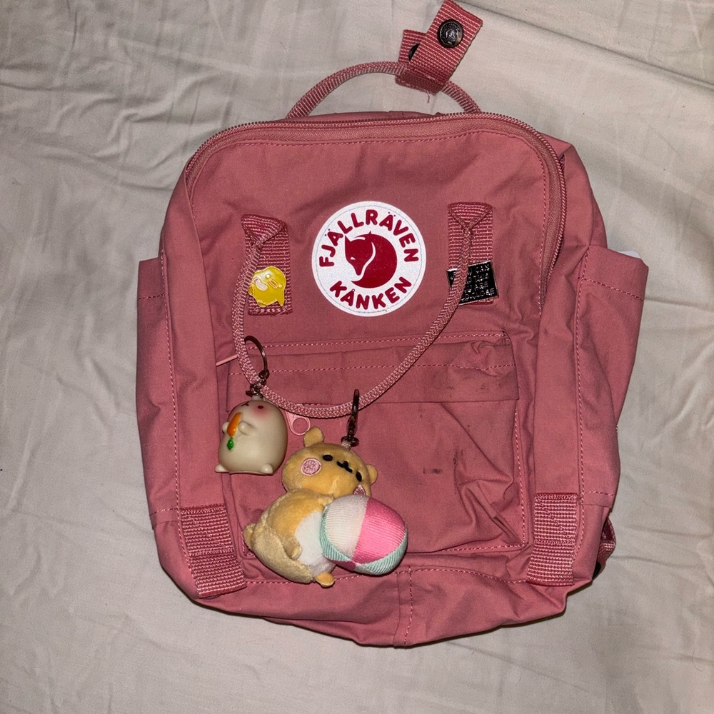 Fjallraven Pink Kanken Backpack